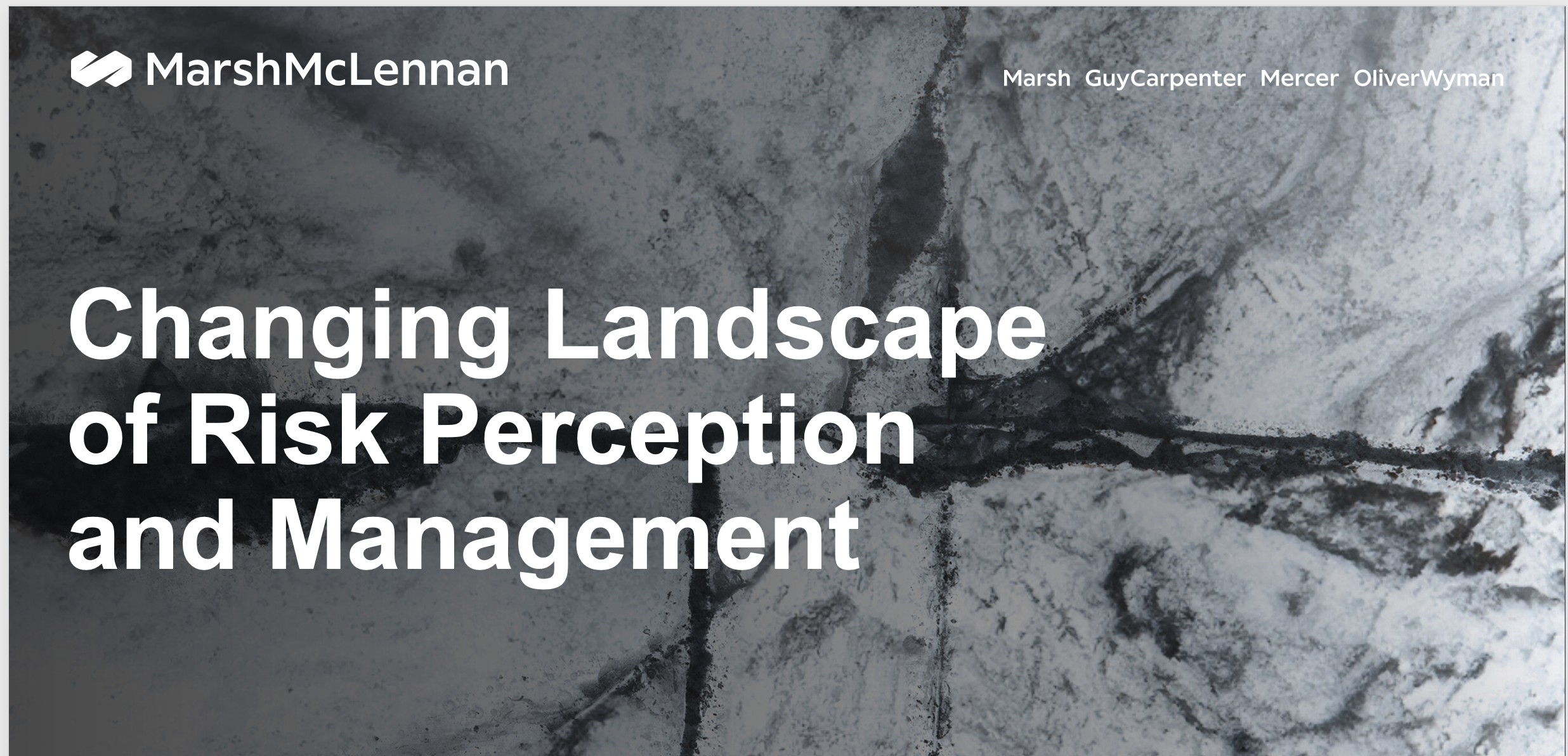 risk perception