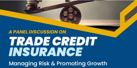 Trade Credit